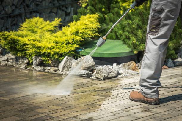 Best Driveway Pressure Washing  in Jackson, WI