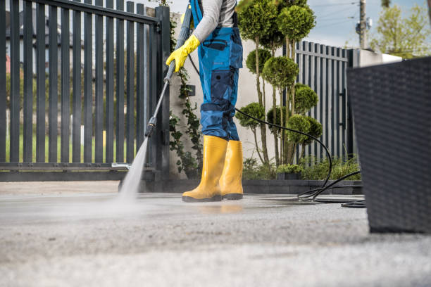 Best Fence Cleaning  in Jackson, WI